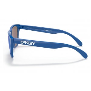 Oakley Frogskins Xs Youth Fit Origins Collection Sapphire Frame Fire Iridium Lens Sunglasses