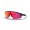 Oakley Radar Ev Pitch Team Colors Polished Black Frame Prizm Field Lens Sunglasses