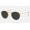 Ray Ban Round Metal Classic RB3447 Polarized Classic + Shiny Gold Frame Black Lens Sunglasses