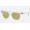 Ray Ban Meteor Washed Evolve RB2168 Green Photochromic Evolve Transparent Sunglasses