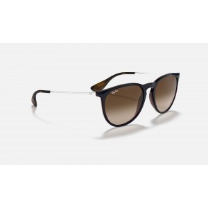 Ray Ban Erika Classic RB4171 Gradient + Blue Frame Brown Gradient Lens Sunglasses