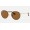 Ray Ban Round Craft RB3475 Classic B-15 + Brown Frame Brown Classic B-15 Lens Sunglasses
