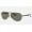 Ray Ban RB8313 Scuderia Ferrari Collection Green Classic Gunmetal Sunglasses