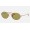 Ray Ban Oval Washed Evolve RB3547 Green Photochromic Evolve Copper Sunglasses