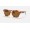 Ray Ban State Street RB2186 Classic B-15 + Tortoise Frame Brown Classic B-15 Lens Sunglasses