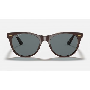 Ray Ban Wayfarer Ii Collection RB2185 Light Blue Classic Brown Sunglasses