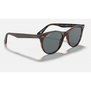 Ray Ban Wayfarer Ii Collection RB2185 Light Blue Classic Brown Sunglasses