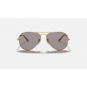 Ray Ban Aviator Washed Evolve RB3025 Gray Photochromic Evolve Gold Sunglasses