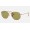 Ray Ban Hexagonal Washed Evolve RB3025 Green Photochromic Evolve Copper Sunglasses