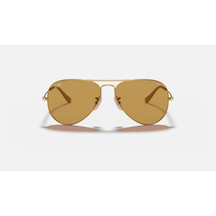 Ray Ban Aviator Washed Evolve RB325 Brown Photochromic Evolve Gold Sunglasses